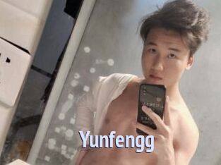 Yunfengg