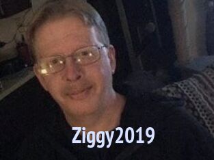 Ziggy2019
