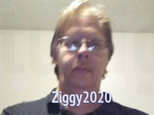 Ziggy2020