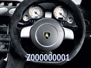 Z000000001