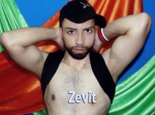 Zevit